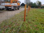 Schapengaas Crapal Zwaar 50m | Draaddikte 3,7/3,0 - Afbeelding 4