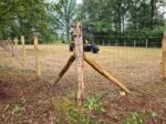 Schapengaas Verzinkt Medium 50m | Draaddikte 3,0/2,4 - Afbeelding 4