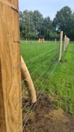 Schapengaas Crapal Licht 50m | Draaddikte 2,40/1,90 - Afbeelding 3
