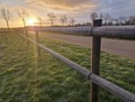 Dura² weidepaal rond | gepunt - Afbeelding 3