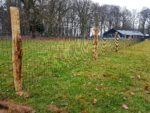 Tuingaas groen geplastificeerd (Classic) | 5,0x10 cm | Draaddikte 2,2 mm - Afbeelding 3
