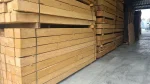 Robinia hardhouten bielzen | ongepunt - Afbeelding 2