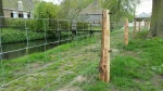 Robinia palen kwart gezaagd | gepunt - Afbeelding 2