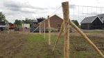 Robinia palen rond | gepunt en ongepunt - Afbeelding 3