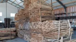 Robinia palen rond | gepunt en ongepunt - Afbeelding 2