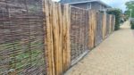 Wilgenscherm Designo