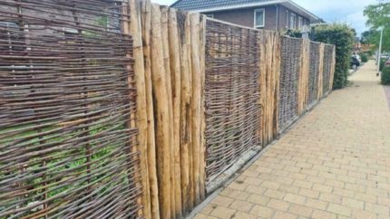 Wilgenscherm Designo