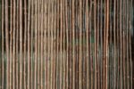 Wilgenmat 200x300 - Afbeelding 2