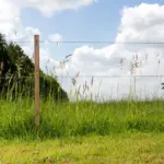 Gealuminiseerd draad (High Tensile) ø 1,6 mm (ca. 1580 meter) - Afbeelding 3