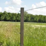 Insultimber (FSC®) tussenpaal (3,8 x 3,8cm - 1,80 meter) - Afbeelding 3