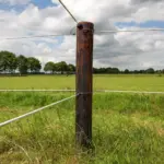 EquiFence Permanentkabel (wit, 250 meter) - Afbeelding 4