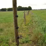 W-isolator (zwart, 175 stuks) - Afbeelding 2