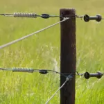 EquiFence Permanentkabel (terra, 250 meter) - Afbeelding 4