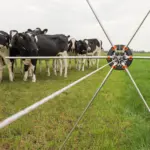 Rasterspin (5 stuks) - Afbeelding 3