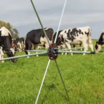 Rasterspin (5 stuks) - Afbeelding 4