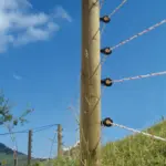 TurboLine cord (wit, 200 meter) - Afbeelding 4