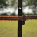 Stijgbeugelpaal (terra, 5 stuks) - Afbeelding 3
