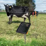 S100 Zonnepaneel schrikdraadapparaat incl. accu  (1,0J - Solar) met gratis stander - Afbeelding 3