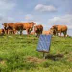 S200 Zonnepaneel schrikdraadapparaat incl. 2 accu's  (2,0J - Solar) - Afbeelding 4