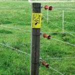 Doorgangsset elastisch Cord - Afbeelding 3